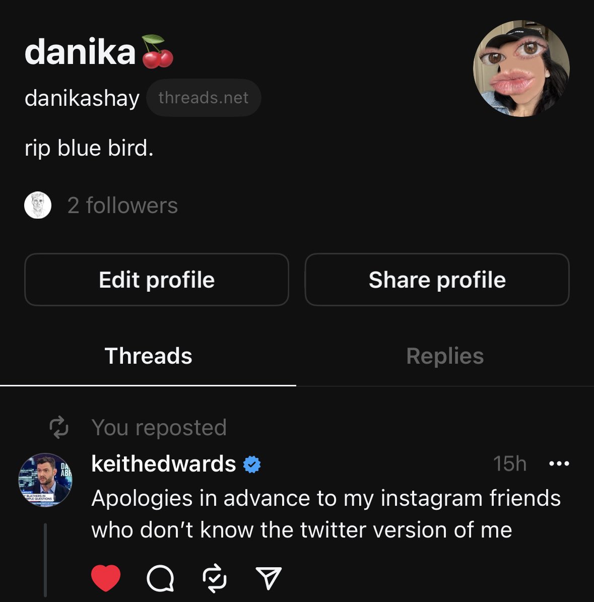 I guess I’ll lurk in Threads — but also, it’s IG/Meta? So? Still certified trash.