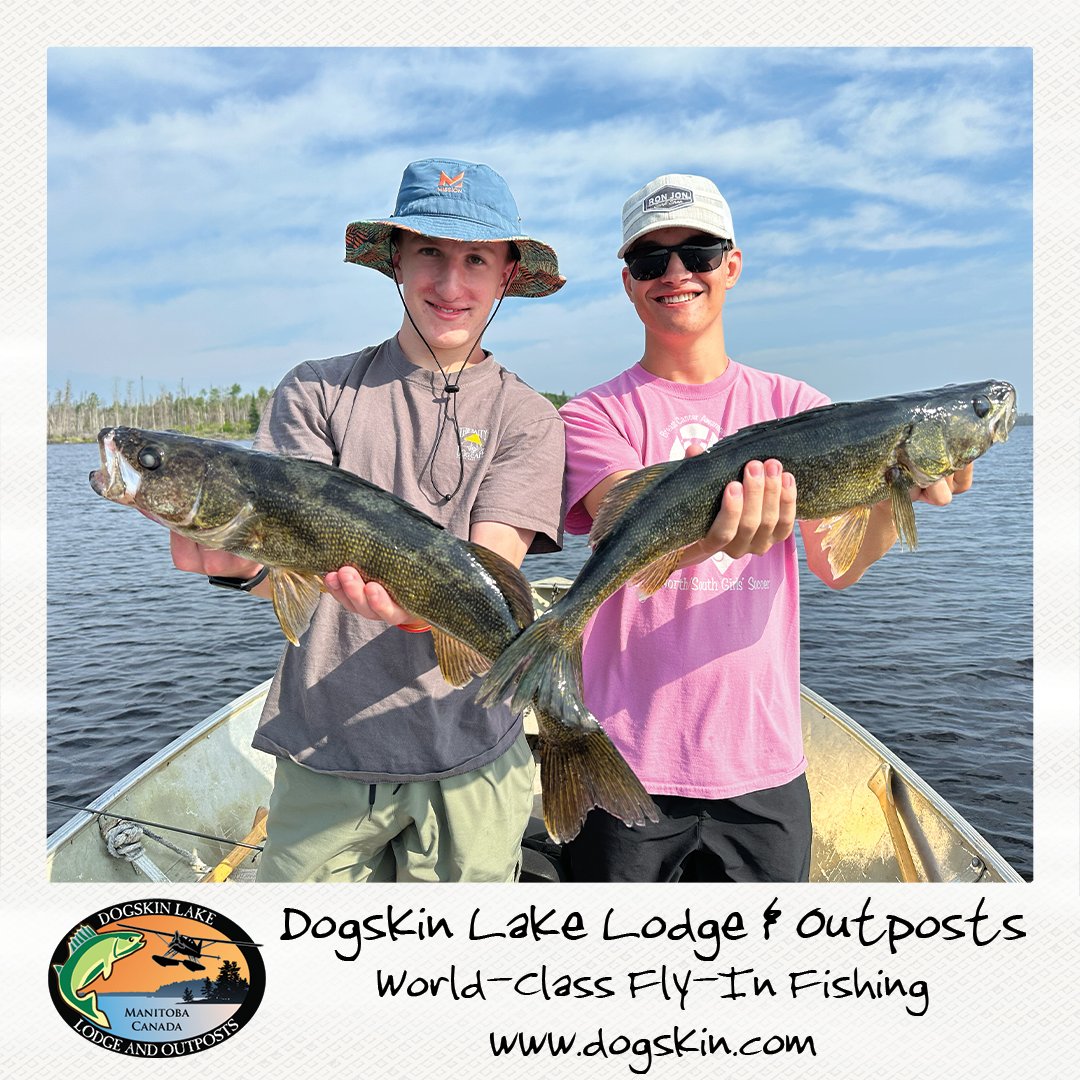 FishDogskin's tweet image. Doubling down on Walleye

#manitoba #manitobamonster #masterangler #dogskinlakelodge #travelmanitoba #catchandrelease #walleye #northern #pike #lund #lundboats #yamahaoutboardmotors #huntfishmb #FishingAdventures #CatchoftheDay #ExploreCanada #FishingWithKids #FamilyTIme