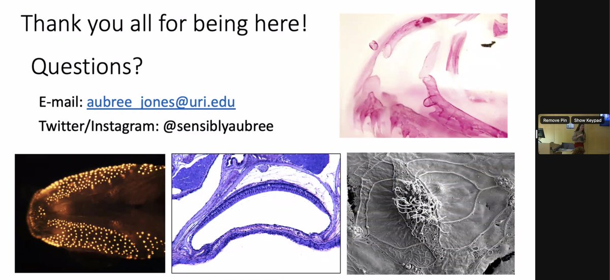 Dr. Lauren Eve Simonitis 🇨🇺🇺🇸 tweet media