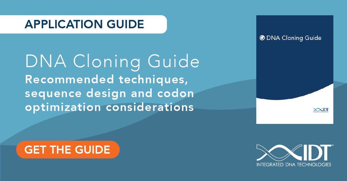 idtdna's tweet photo. #IDTβs #SyntheticBiology team is here to help with our #DNA Cloning Guide. Download the guide for free today to enhance your next cloning experiment: https://t.co/RFPmbjWnNZ
#IDTdna #SynBio #cloningguide https://t.co/n1HNMgyO92