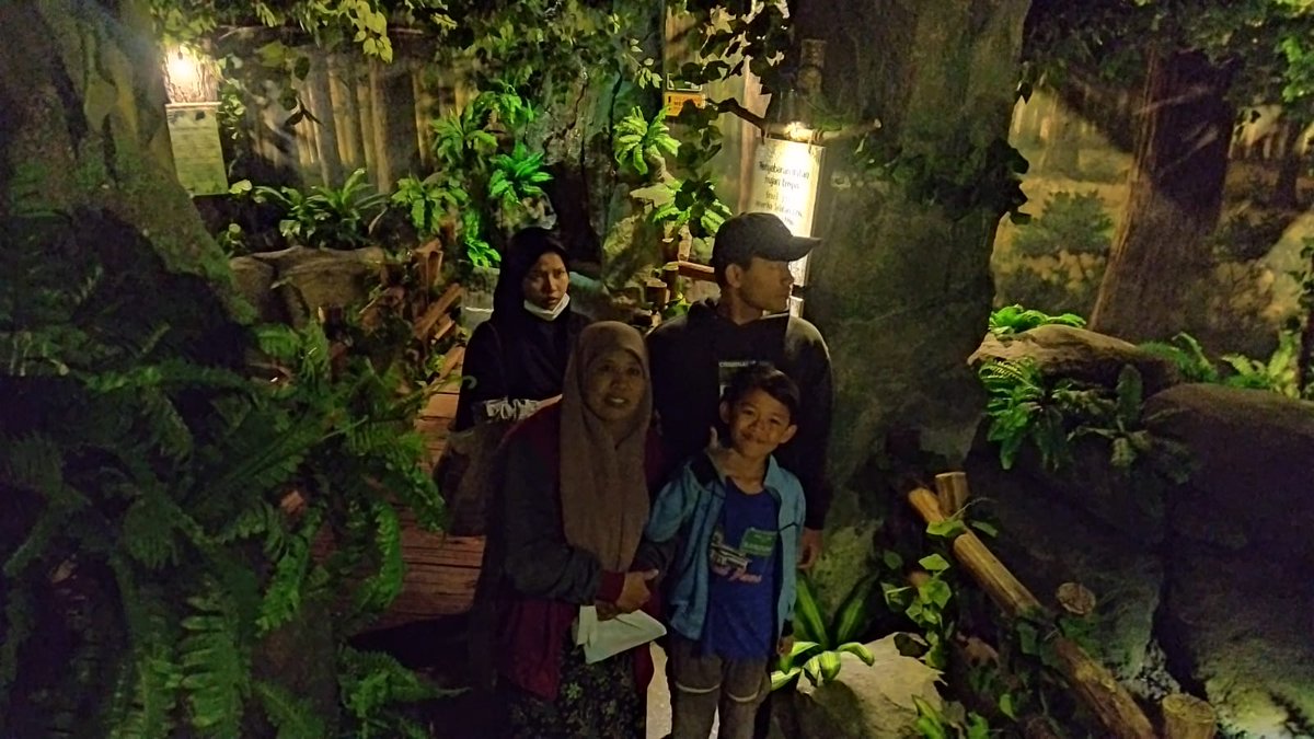 amriapt24's tweet photo. Kalo hutan kita sehijau ini terus, bahagia....
#seruuubos https://t.co/C7me45XlGS