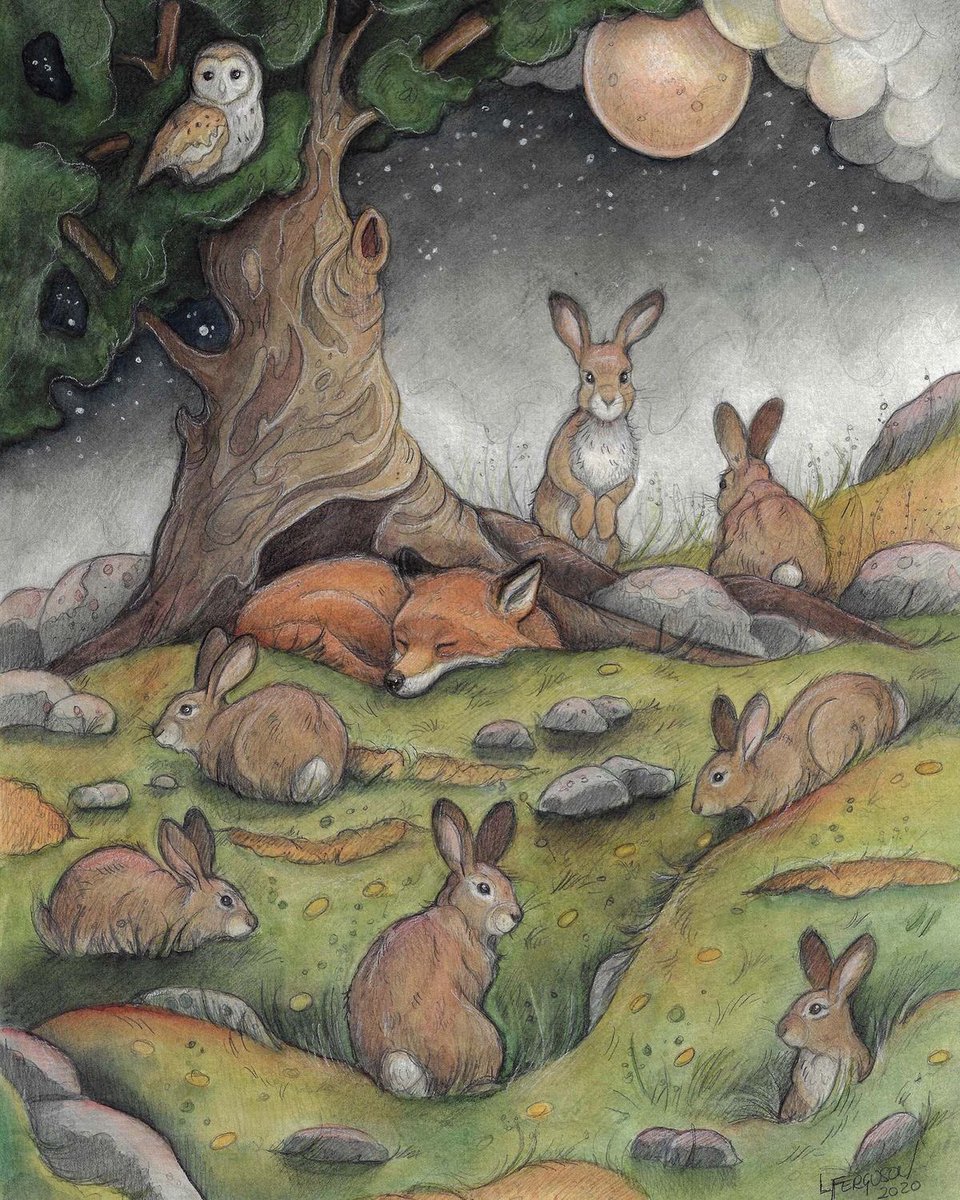 CorellaTej7982's tweet photo. #rabbits #rabbitsparadise #conejas #conejos #ilustracion #ilustration #nighttime #buho #owl #forest #treasures #art #arte #drawings #moonlover https://t.co/Ok4hgeDgQC