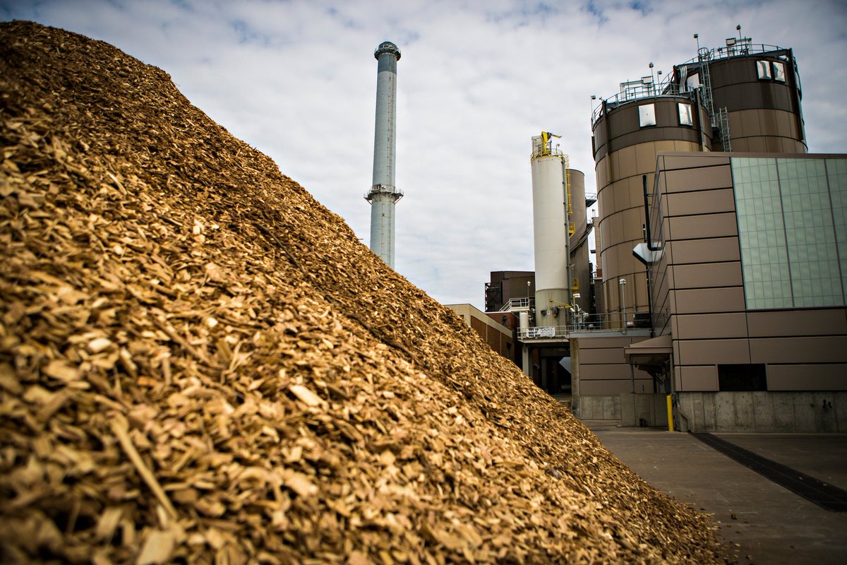 GWDtoken's tweet photo. 📍Today, in the #GreenWorld EDUCATIONAL section we are going to talk about biomass energy. ⚡

Did you know that biomass energy utilizes organic materials like agricultural waste, wood, and crop residues to produce heat, electricity, and biofuels?? 

Thread 🧵

#GWDToken #GWD https://t.co/VoWakFL2L2