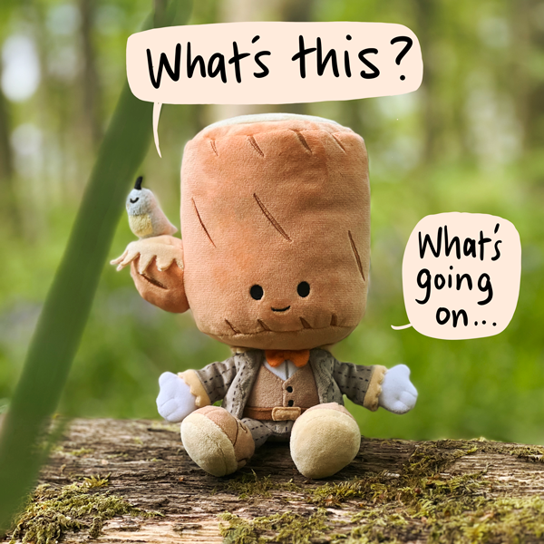 ByTwistwood's tweet photo. Loghead! https://t.co/XFPChgSVkc