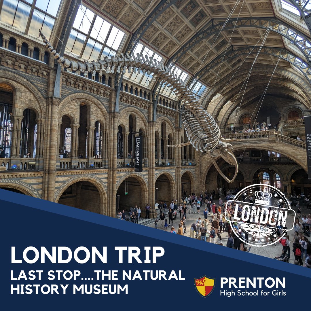 TeamPrenton's tweet photo. Prenton News: London Trip
Last stop....the Natural History Museum....what a whistle stop tour we've had!
. #prentonpersonaldevelopment https://t.co/8E94QGJqlP