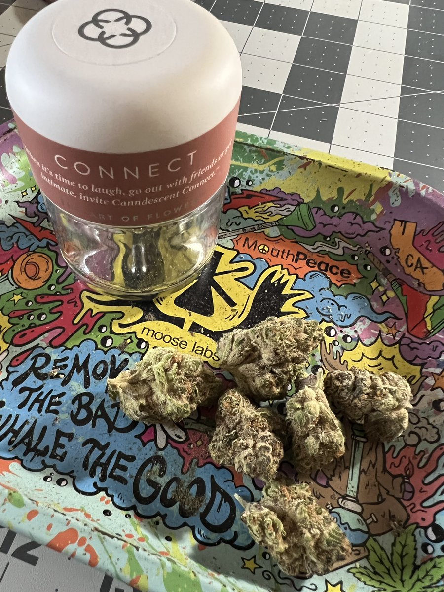 bymjmazzei's tweet photo. Waking and baking with @CANNDESCENT ๐ฅ๐ฅ๐ฅ @NugLifeClub #nuglifeclub https://t.co/OF9TcEN6ox