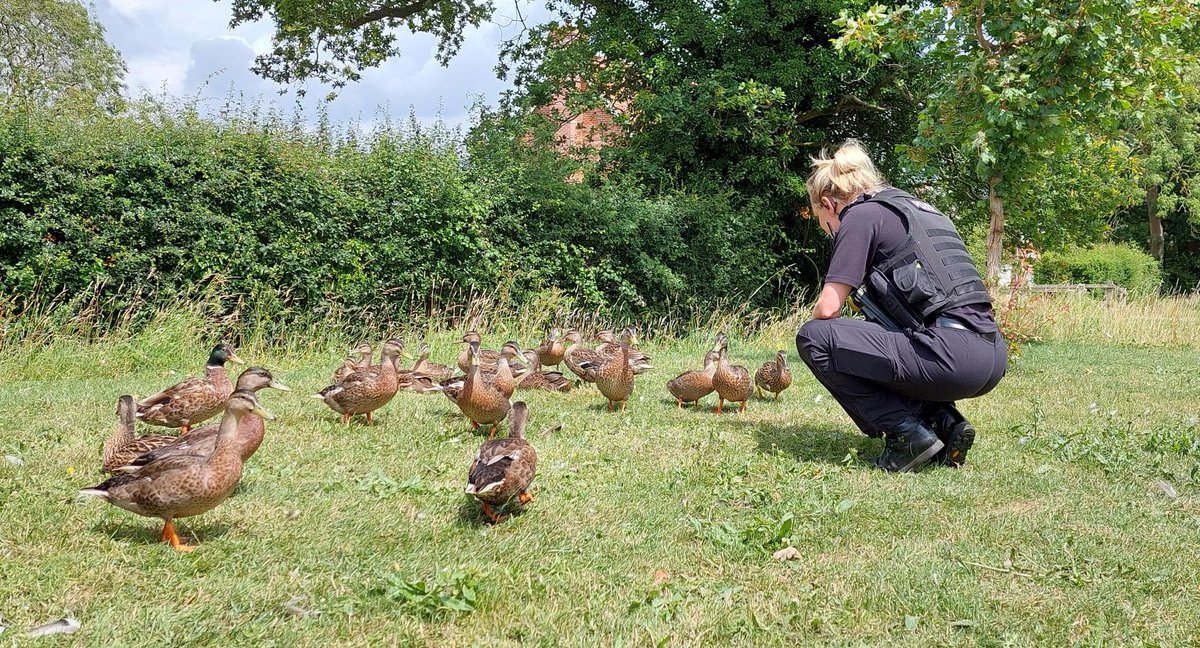 As part of #ASBAwarenessWeek, PC Helen Busfield did patrols yesterday (Weds 5th) in Hethersett and Mulbarton. Along the way she met a group of friendly ducks, Max the energetic dog in the memorial park, and new recruit Henry, with his amazing police car and hat! #localpolicing