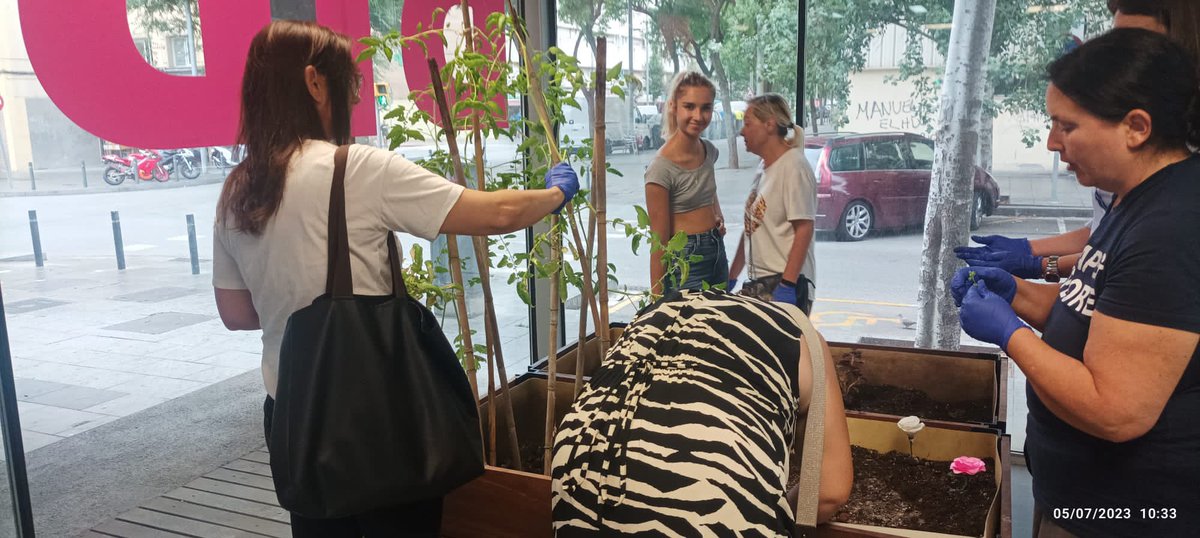 bibminasab's tweet image. Ahir, els pacients de #parcsalutmar #parcfòrum van fer dues activitats conjuntes: “Hort i Cultura” i la de “Lectures que ajuden”. A la 1a., van transplantar noves llavors per l’hort🌱🌿. I a la 2a., van fer una activitat molt xula, anomenada: “un llibre 📗et tria a tu” Mireu! 👀