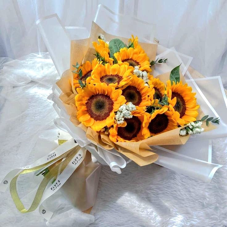 SUNFLOWER 🌻 tweet media