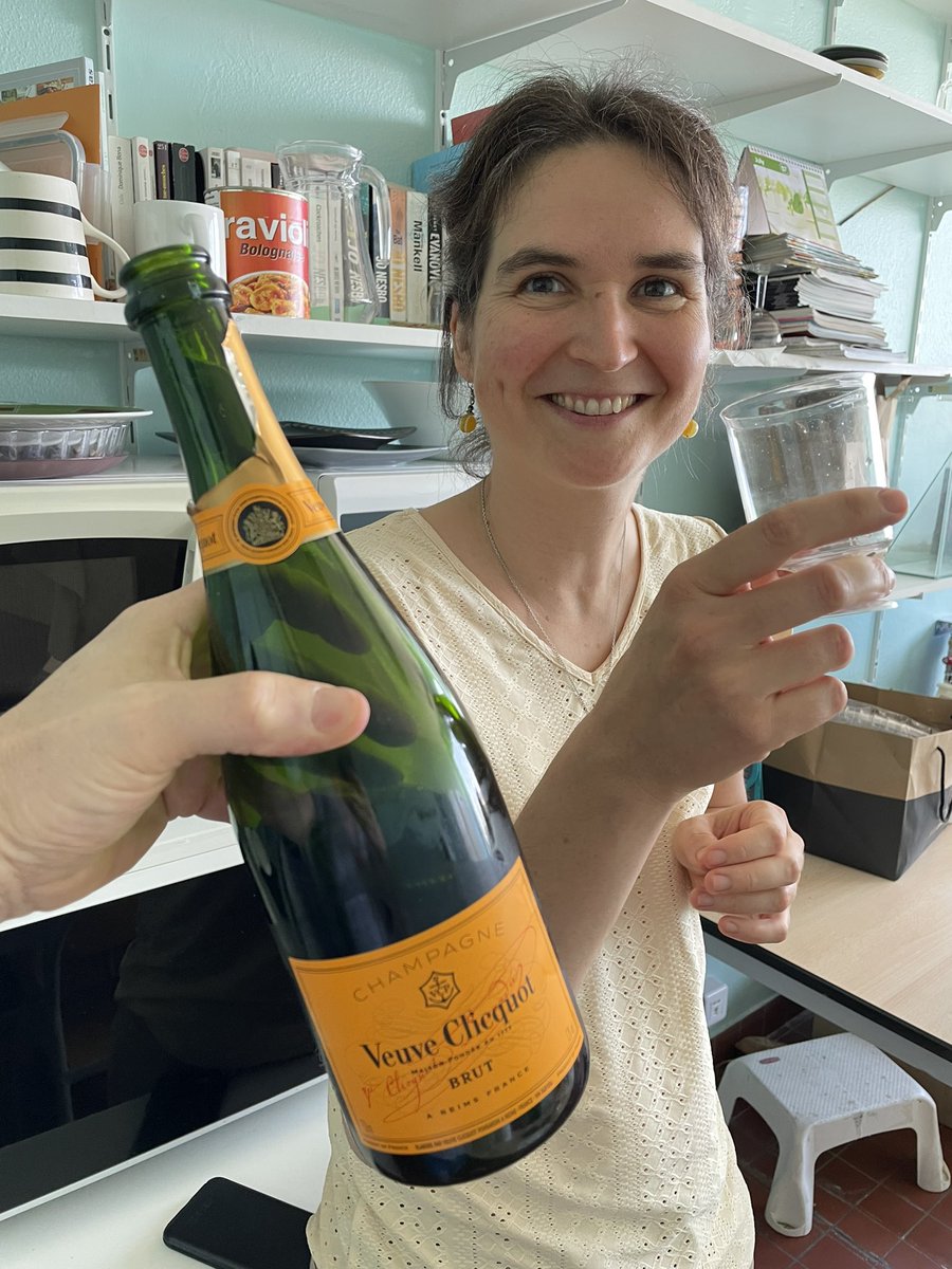 LabRenal's tweet photo. Congratulations to Julie Belliere, MD, PhD of the team who obtained a French “ANR” grant to Target ImmunoSenescence In acute KIdney injury! Go TISKI!! #ANR https://t.co/srcYJKINeZ