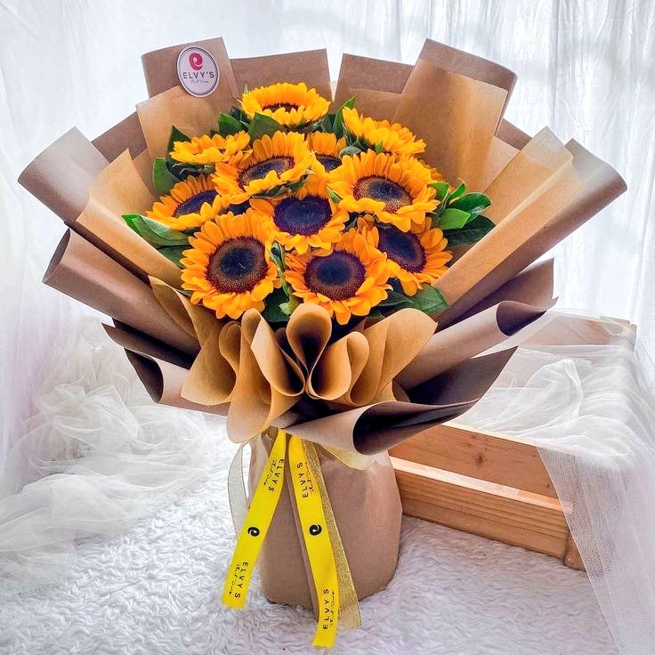 SUNFLOWER 🌻 tweet media