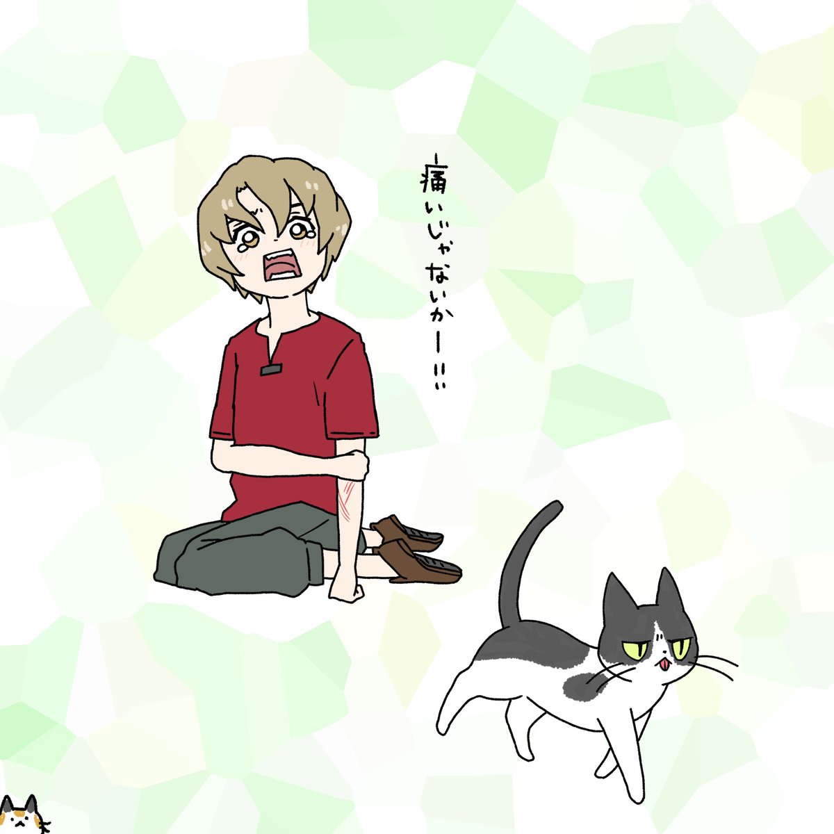 竜宮島には気難しい猫もいるかも。 