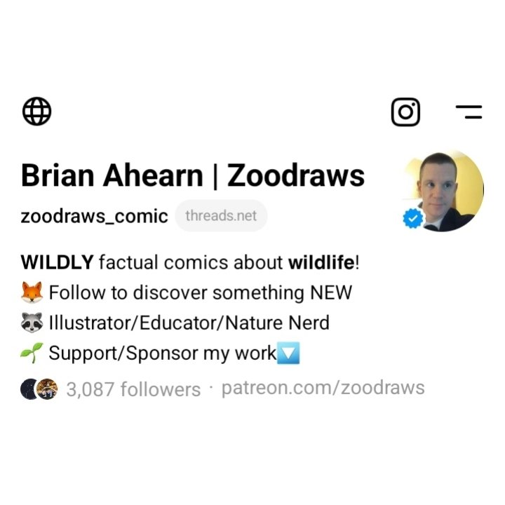 Zoodraws's tweet photo. Well I'm on Threads at 'zoodraws_comic' and already over 6x my total readers on Twitter. Worth checking out❤️ #thread #threads #threadsvstwitter #thiswillprobablybedeleted https://t.co/puPXRSHXKE
