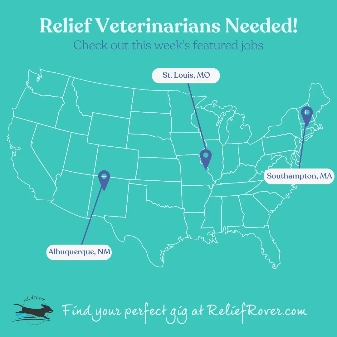ReliefRover's tweet photo. We’re featuring more awesome jobs posted on https://t.co/wgRvqshOLA’s member site. We’ve got 400+ jobs to choose from, but these caught our eye:

📍Albuquerque, NM:
https://t.co/q58rwKAaot

📍St. Louis, MO:
https://t.co/cHTmHtEtK7

📍Southampton, MA:
https://t.co/LwkOdInWla https://t.co/lZxan2SlF3