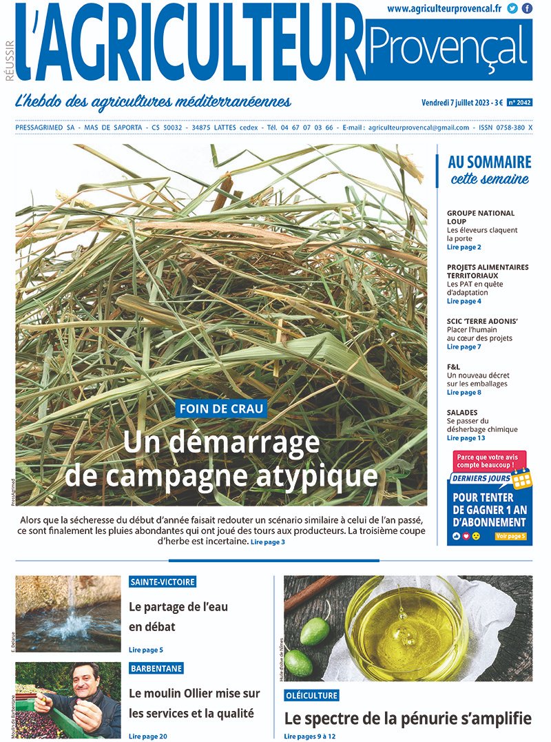 [A LA #UNE 📰]
Cette semaine, dans <a href="/AgriProv/">AgriculteurProvençal</a>  👇
- notre dossier #Oléiculture 🫒
- une campagne du #foindecrau plutôt atypique 
- les vignerons de la Sainte Victoire qui recevaient Loïc Fauchon #conseilmondialdeleau 💧
Et bien plus d'infos sur 
👉  pressagrimed.fr