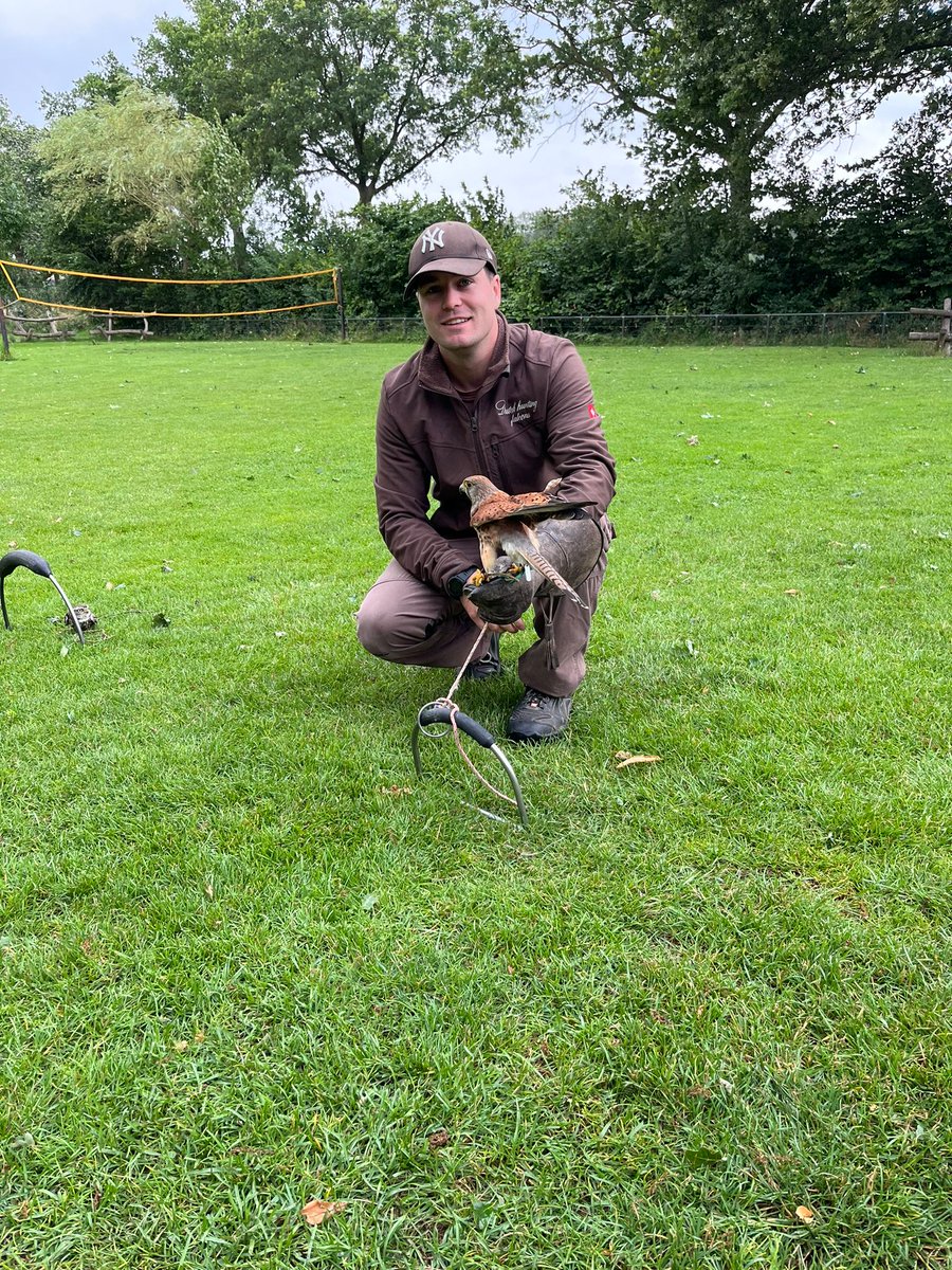Afsluiting van het kamp voor het vso
Woensdagmiddag zijn de vso leerlingen vanuit Gemert terug gefietst naar school. In de ochtend was er na het afbreken van de tenten en het inpakken van de bagage nog een demonstratie van een valkenier met een....
de-hilt.nl/Home/Nieuws/20…