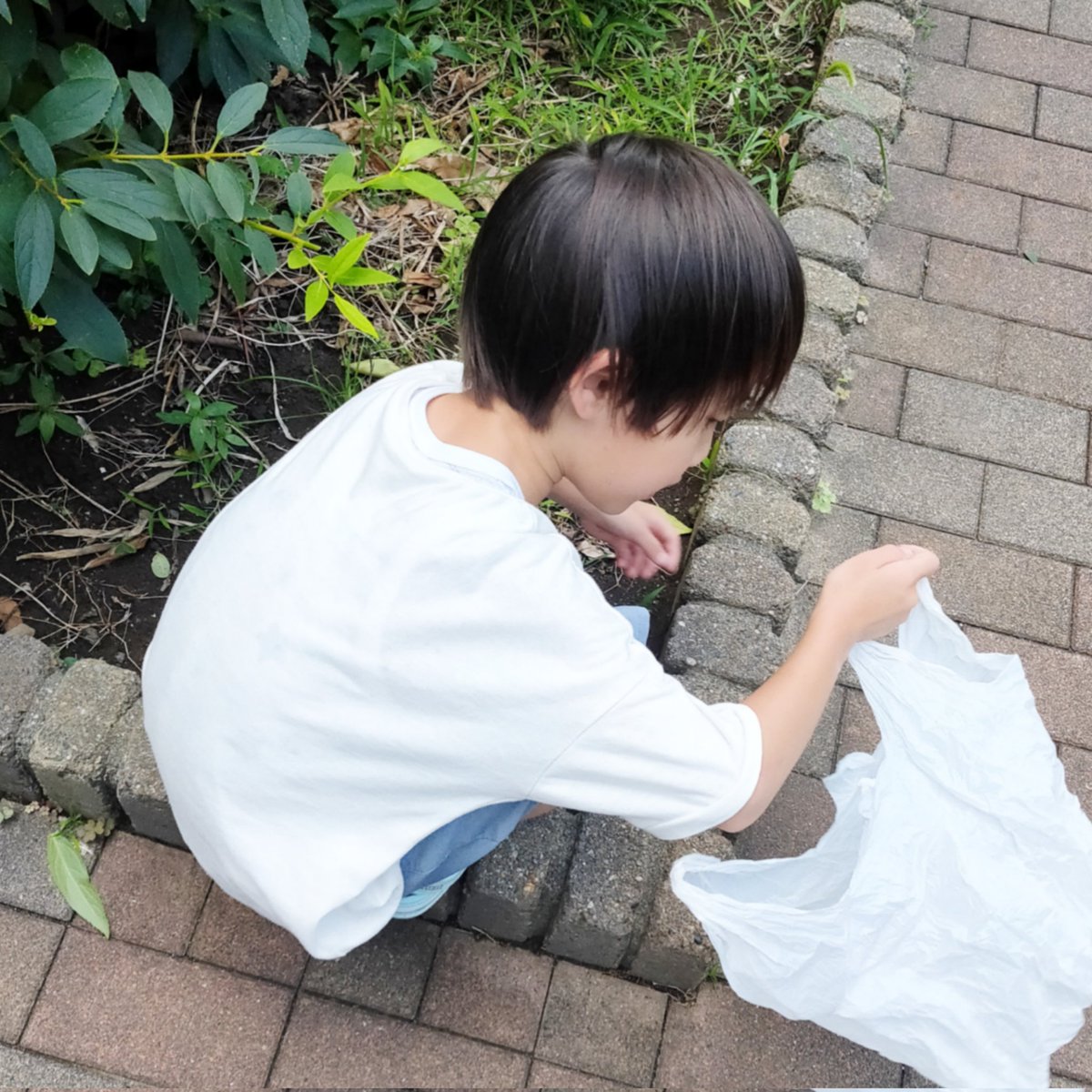 おはようございます☀️

最近、息子達の強い要望によりカエルを飼い始めました🐸
保育園帰り、ご飯となる虫を探すことが日課になっています👀´-
カエルの命も虫の命もどちらも大切、ということをしっかり伝えていきたいと思います😌✨

今日も素敵な1日を🌷.*

#おは戦50707jk🍺