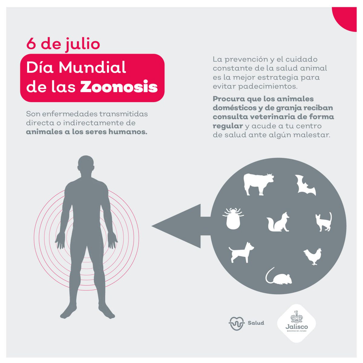 Las zoonosis son enfermedades transmitidas de animales a humanos. Hoy te invito a promover la prevención, la vacunación y una convivencia responsable con nuestros amigos peludos de casa, silvestres o de granja y cuidar así nuestra salud. #DíaMundialDeLasZoonosis #SaludAnimal