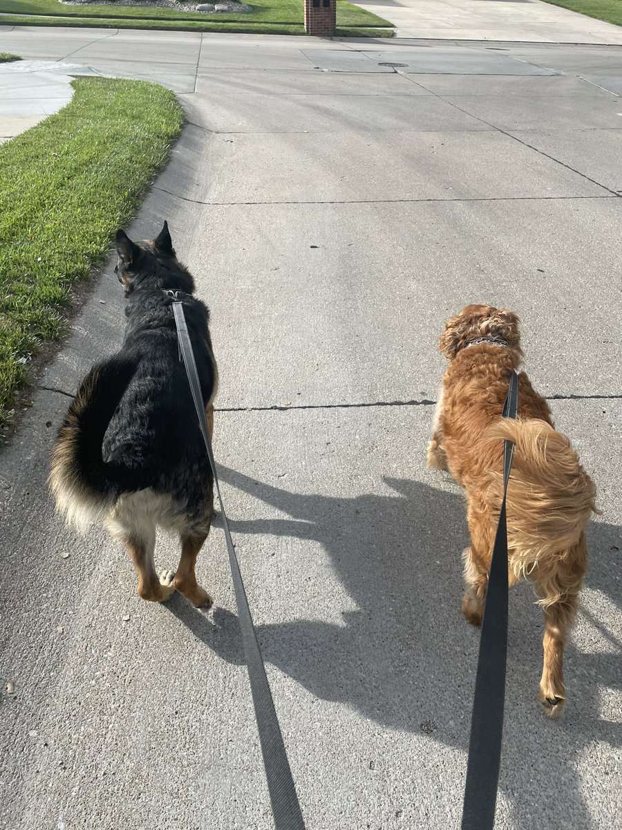Great morning for a walk with the boys!