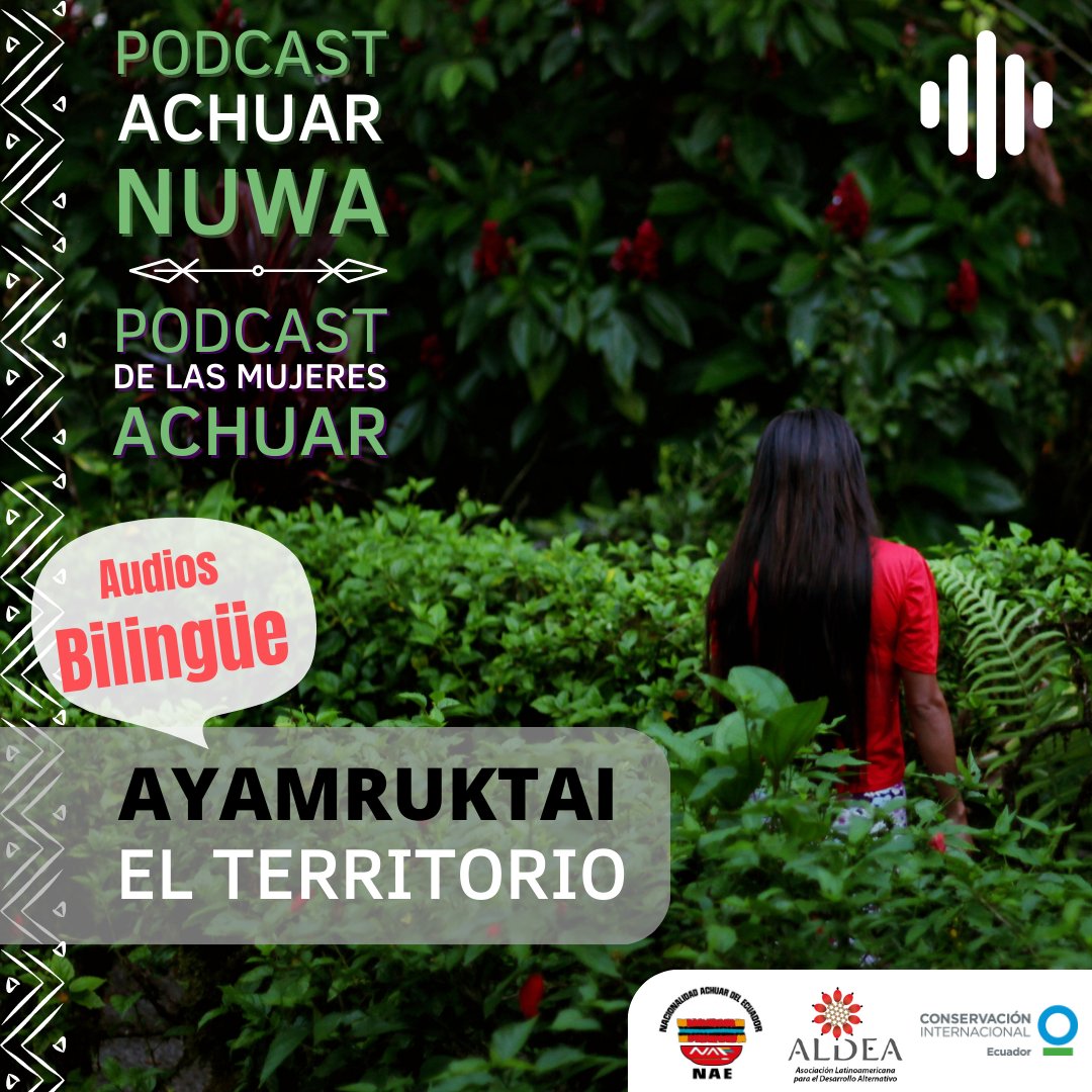 Fundación ALDEA tweet media