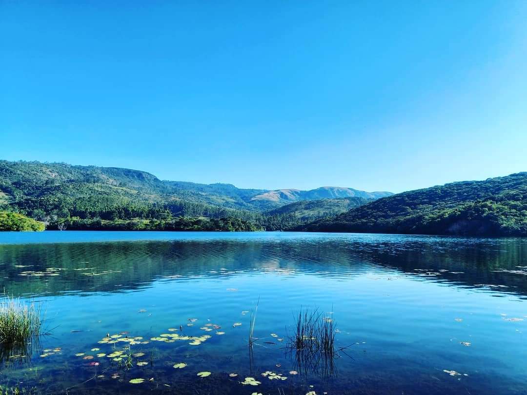 Sarutheone's tweet photo. Today's gift is this shot from the Zimbabwe Private Dams research I did in '19. The strategy was, let me start sharing some #HiddenEscapes for people to know who to call as soon as travel restrictions are lifted. It paid off, the strategy worked ๐
#ThisisZimbabweBaby ๐ฟ๐ผ https://t.co/qNOv1Cu6V4