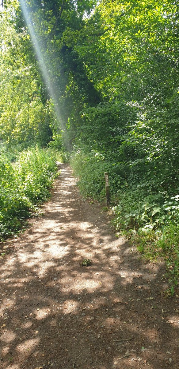 ultrathinking's tweet photo. Is it possible that someone out there had a better more beautify journey to work than me? #ukrunchat #trailrunning #runningtowork https://t.co/fXZt5GiGh3