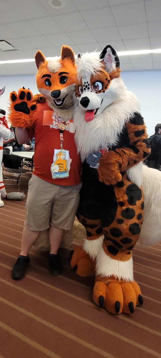 BerryBomber's tweet photo. Some fursuiting highlights from Anthrocon! Shoutout to the guy with the Metroid key shirt ironically being the first person I wanna get a pic with 😂 https://t.co/HQCDKbieat