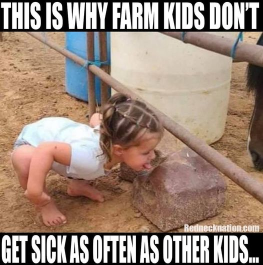 Iowamom7's tweet photo. 😉😉😂😂 https://t.co/IfMCe3tzoH