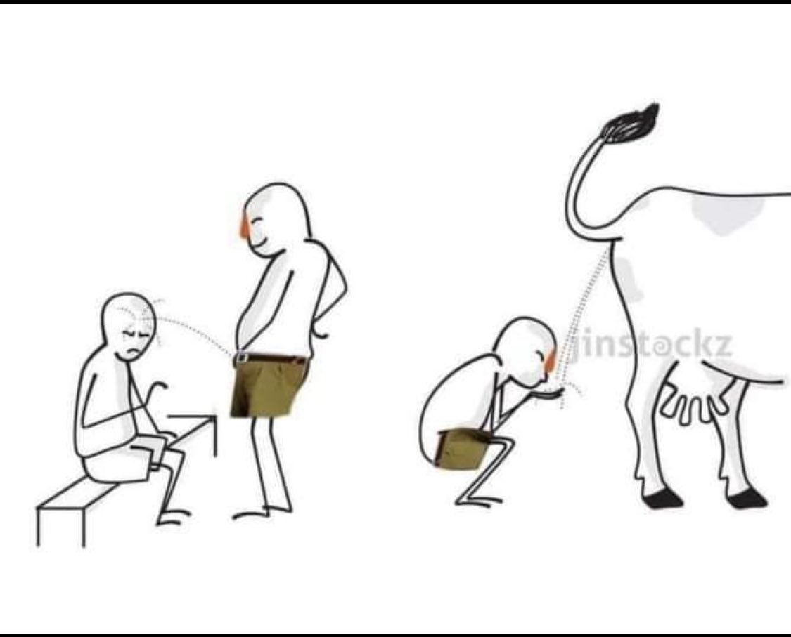 F0XM1DhaMAAfqZW?format=jpg&name=medium