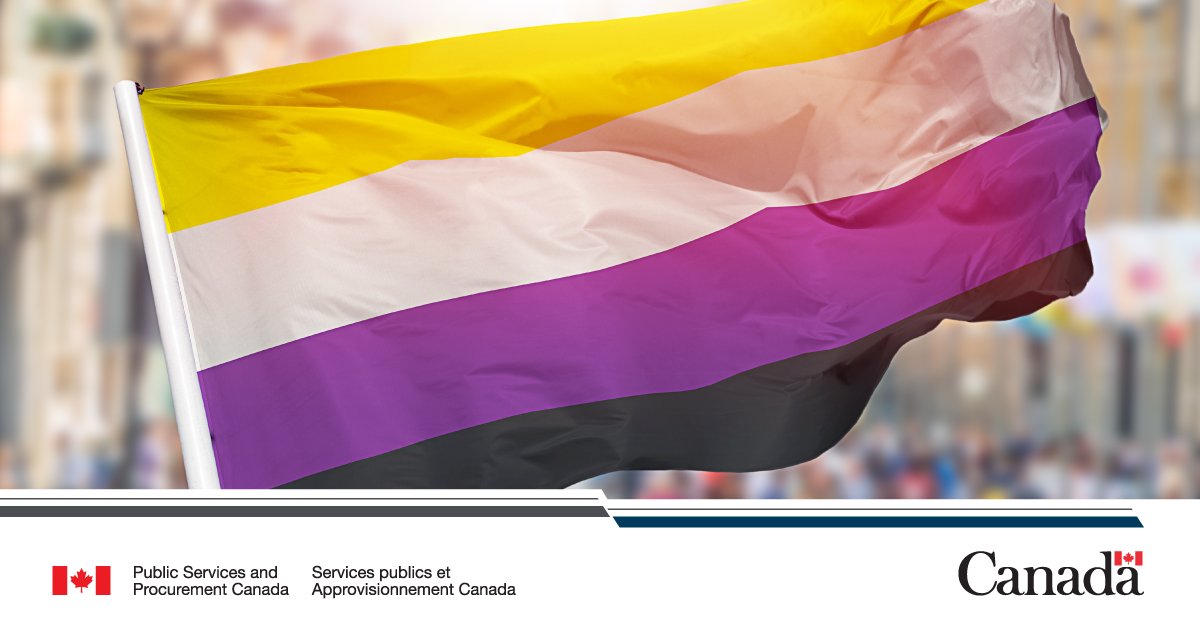 DM_PSPC's tweet image. .@PSPC_SPAC employees: Join us on July 13 to commemorate International #NonBinaryPeoplesDay during the virtual event “Love Lives Here.” The event will feature national bestselling author and human rights advocate Amanda Jetté Knox. Visit the Event Calendar on mySource for info
