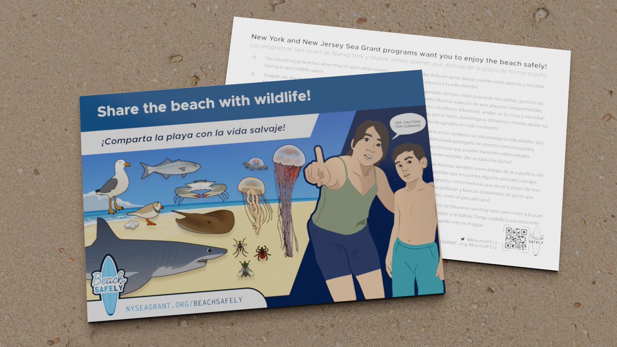 nyseagrant's tweet photo. Enjoy beaches when they're open and "Share the Beach with Wildlife" https://t.co/qh7oq6hX16 @NOAA @SeaGrant reminds you to #BEachSAFEly, stay safe, have fun! @NJSeaGrant @uslifesaving @NOAAeducation @NWS @WRNAmbassador https://t.co/Gicgaxq9R8