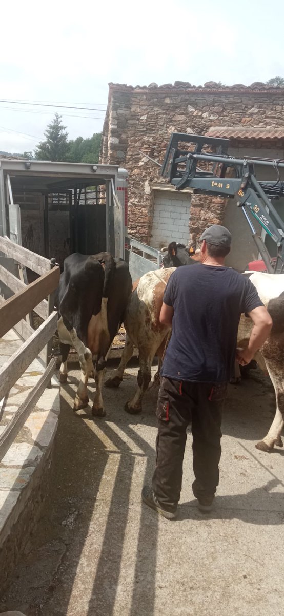 Albert Requena López tweet media