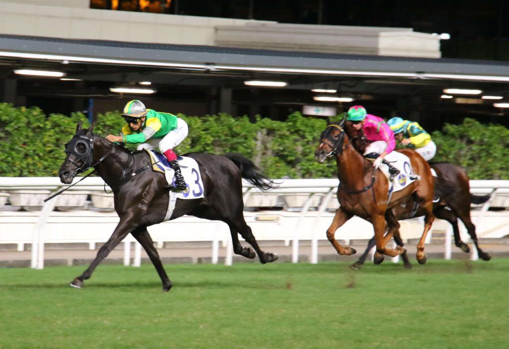 dommillard1's tweet photo. SUPER HONG KONG a 5 yr old son of Kermadec has been in fine form and relishes these longer distance races. Given a well rated ride by @KarisTeetan to win the Kowloon Tsai Park HDCP over 2200 m by 3 3/4 lengths. Congratulations to the Lucky Go Happy Syndicate and Karis Teetan. https://t.co/RI2TJGuc2S