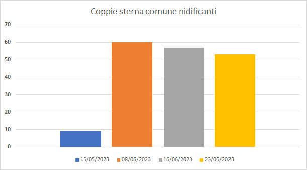 LifeForestAll's tweet photo. Ottime notizie dall'ultimo controllo degli esiti di riproduzione delle sterne sulle zattere in #Oasi @WWFitalia di #ValleAverto
Osservate almeno 53 coppie di sterna comune!
Ecco i dati nel grafico allegato
https://t.co/JYXXzPFFkp
#Natura2000 #LIFEProgramme #LIFEProject @cinea_eu https://t.co/JvioohQKsi
