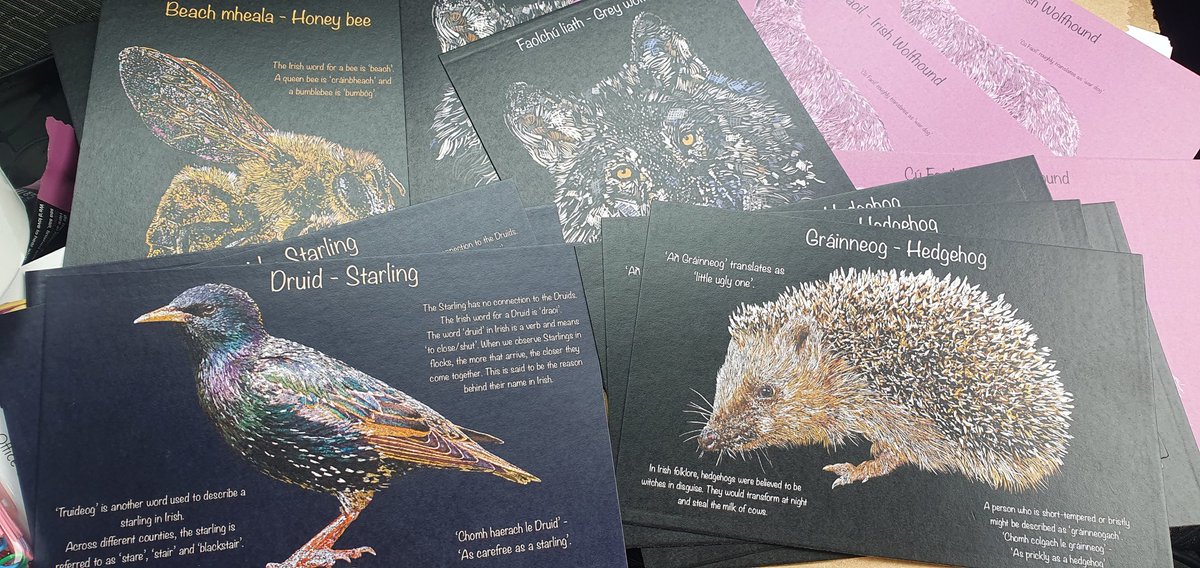 Newest pieces looking beautiful on print 😍🍀

#gaeilge #gaeilge4all #irish #Ireland #eire #irishart #illustration #NatureRestoration #LanguageLearning #natureart #wildlife