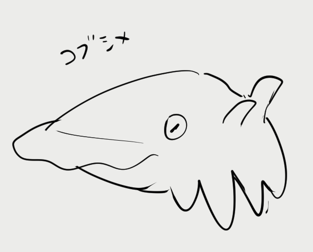 コブシメ 
