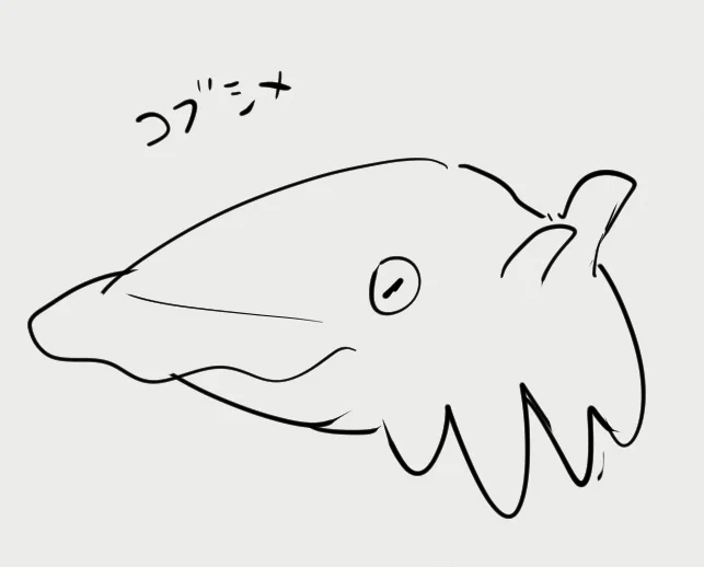 コブシメ 
