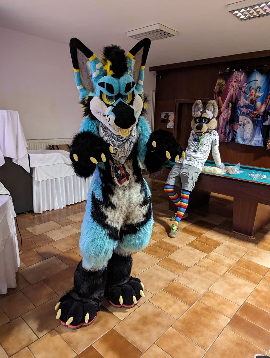 HexagonHusky @Awoostria @EF30 tweet media