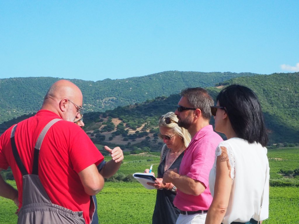 An incredible tour of Arzachena, Dorgali, and Mamoiada in #Sardinia, discovering some of the island’s most captivating and expressive #cannonau and #vermentino. Passion, dedication, and community – this is what real wine is about. 

Much more to come here …