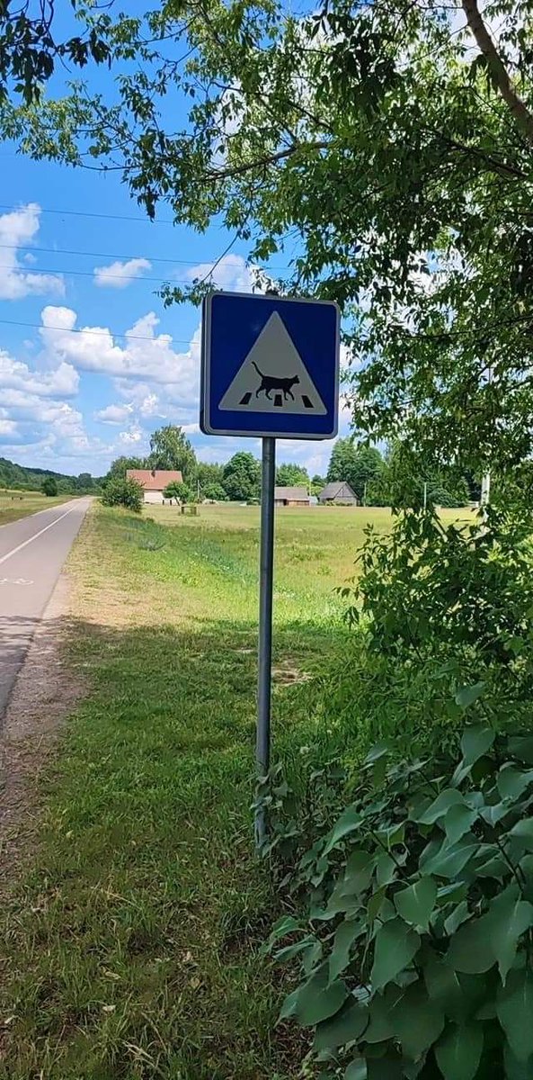 Gibt es in Litauen...toll oder?