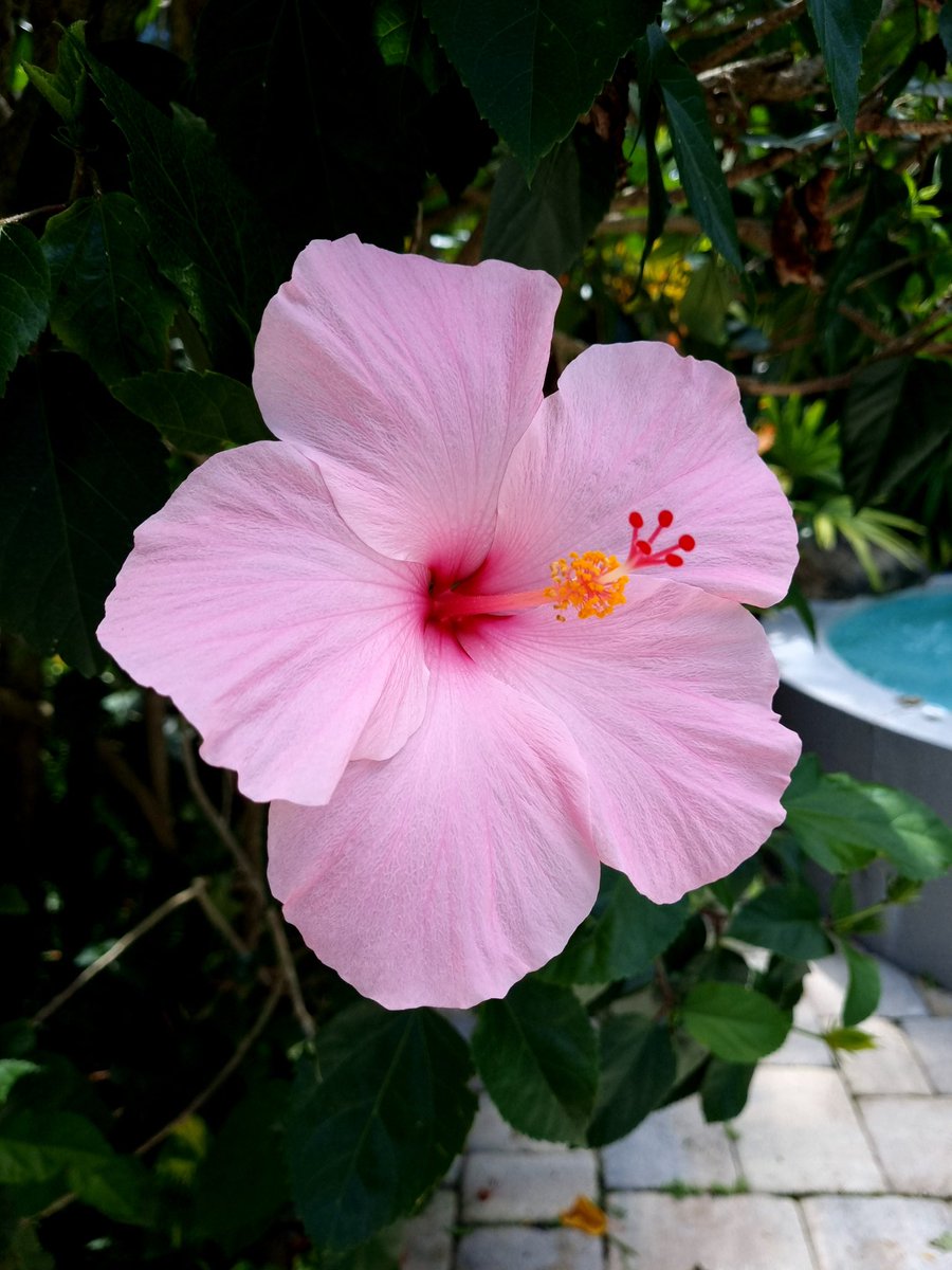 sorryvrerror tweet media