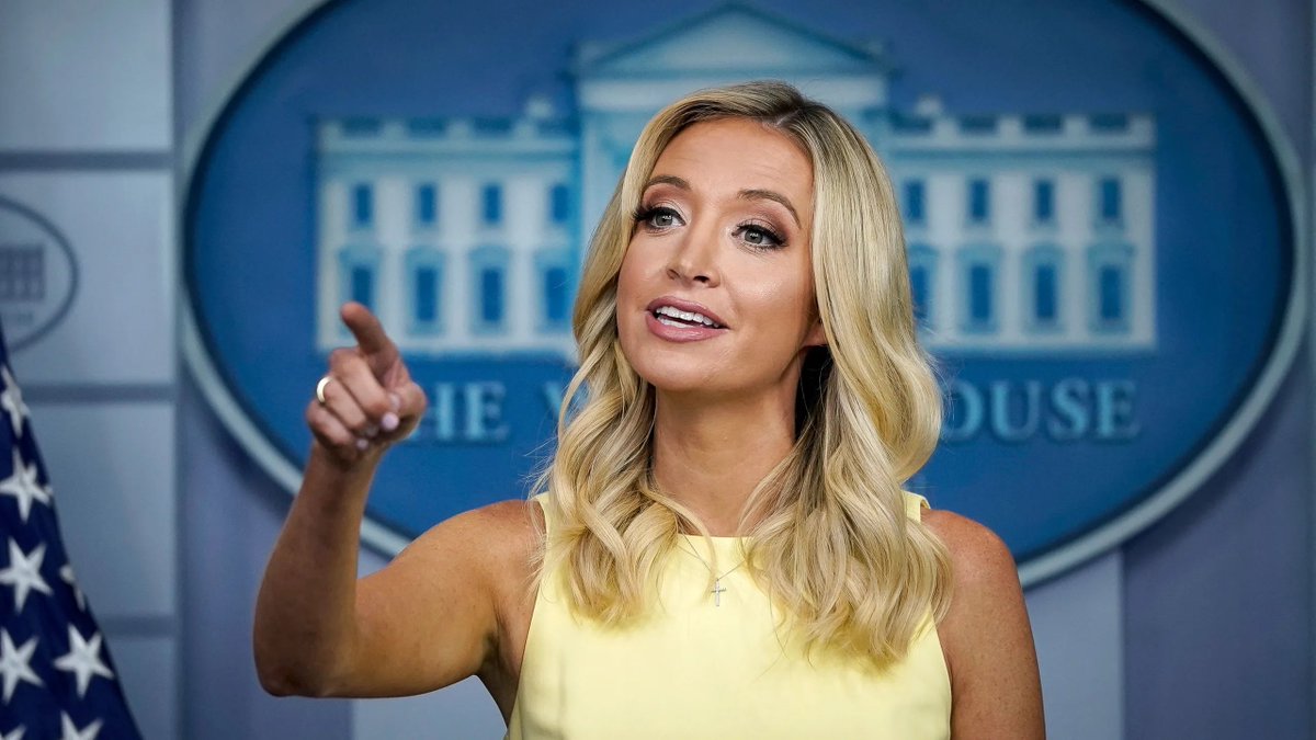 Mike Sington tweet media