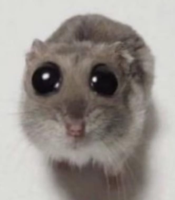 Reviewsito 🐰 tweet media