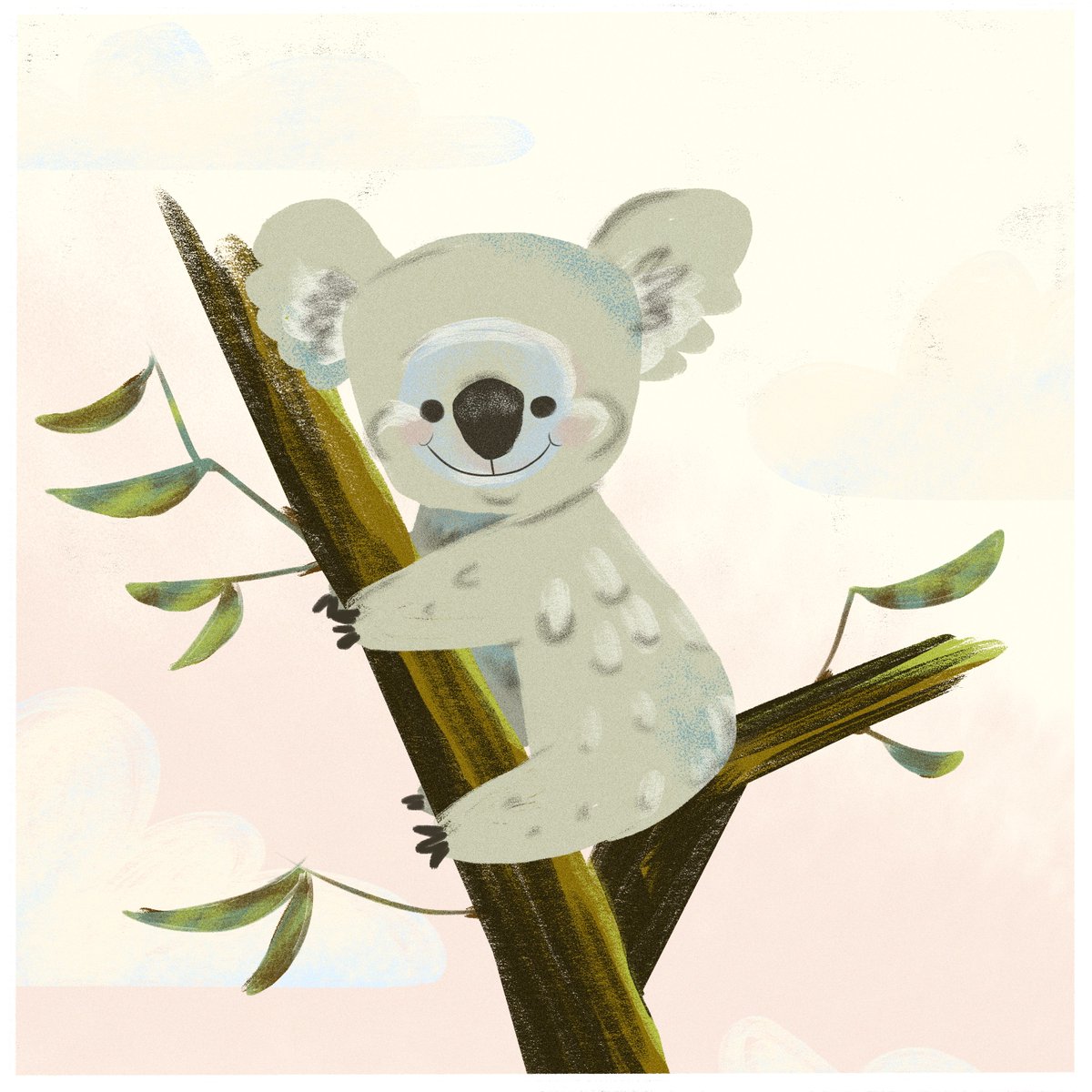 jamestjeffers's tweet photo. koalawalla bear 🐨 https://t.co/9a9T3JBUCq