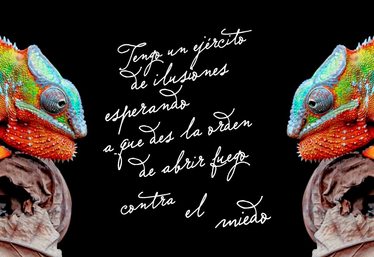 digital_server's tweet image. Salu2
Buenos Dias...

Ofrecemos servicios de impresos de bajo volumen...

#imprenta #impresion #serigrafía #diseñografico #maquila #mercadotecnia #Publicidad #diseñadorgrafico