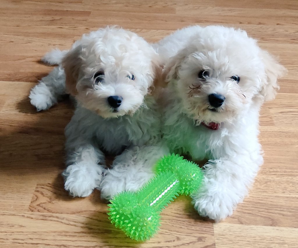 Brotherly love. x.com/RobertJ8393031…