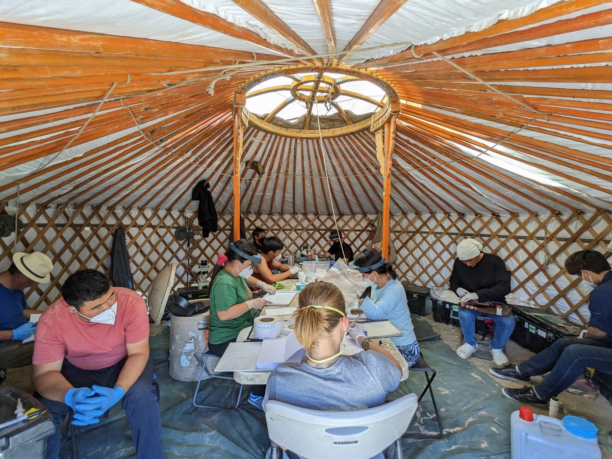 Our field lab in #Mongolia!

#Ger life
