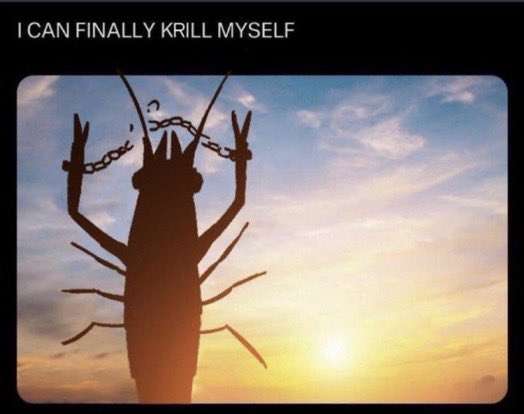 JAMJARRtm's tweet photo. i have no motivation https://t.co/9Yyh8q6Lrj