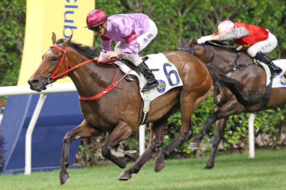 HKJC_Racing's tweet photo. No. 169

One to go for a joint single-season record of 170 wins with Joao Moreira... 

#HappyWednesday | #HKracing https://t.co/51nrSdz3uF