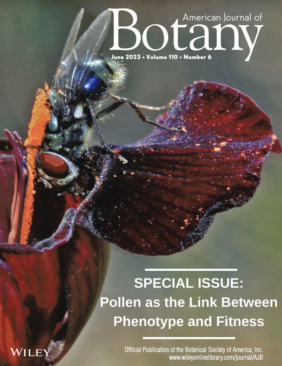Botanical Society of America tweet media